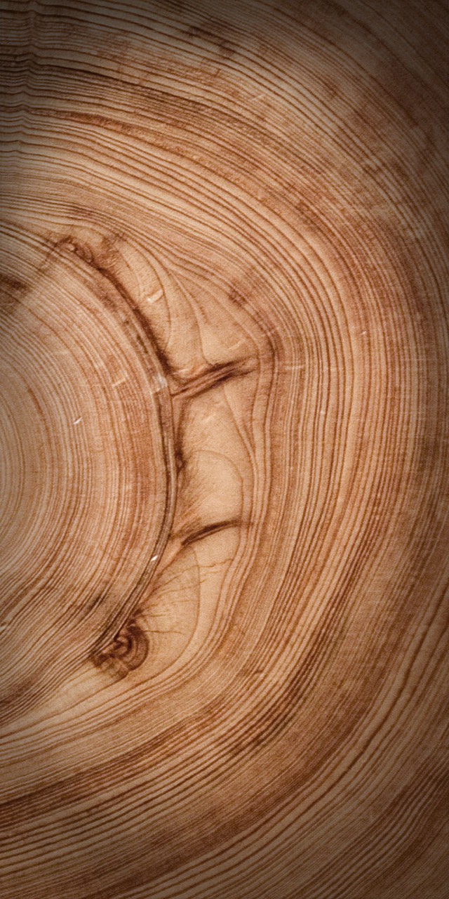 Stacks Image 216571